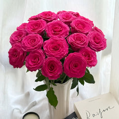 Hotspot Rose