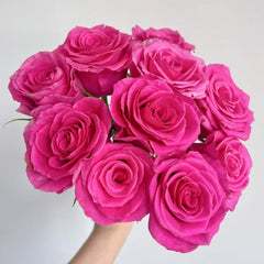 Hotspot Rose