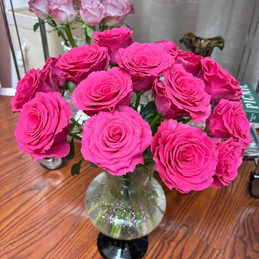 Hotspot Rose