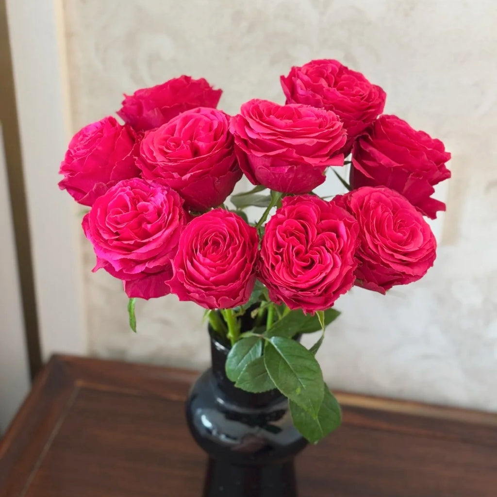 Hotspot Rose