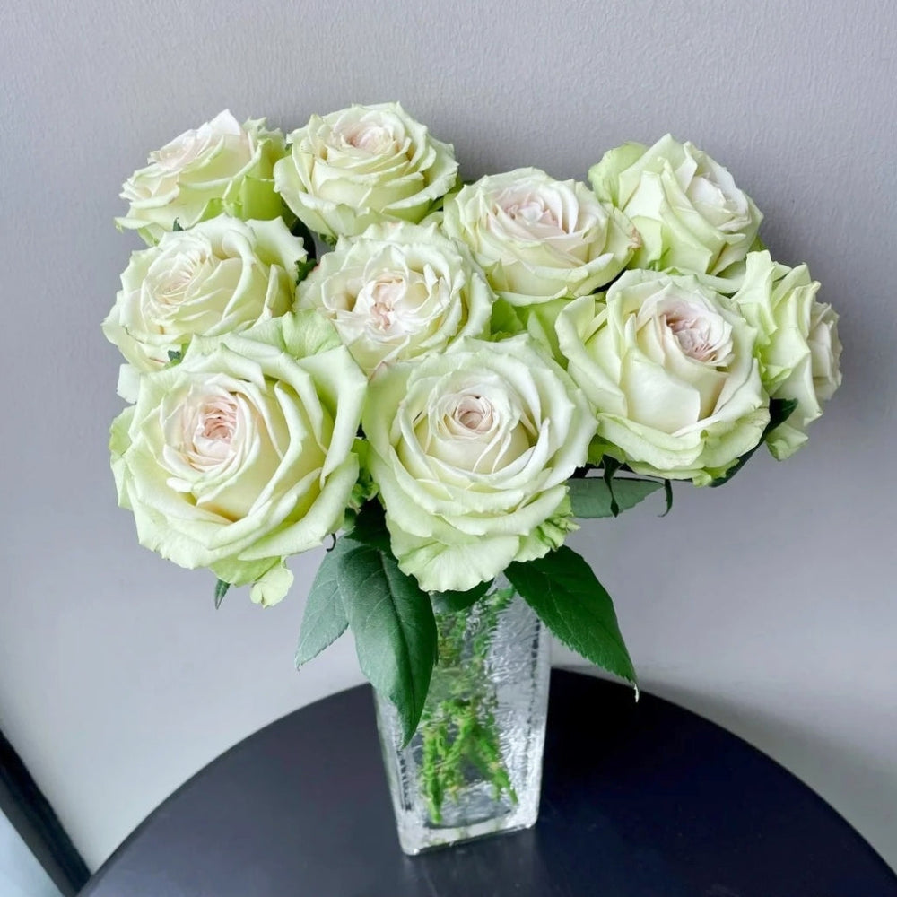 Hypnosis Rose