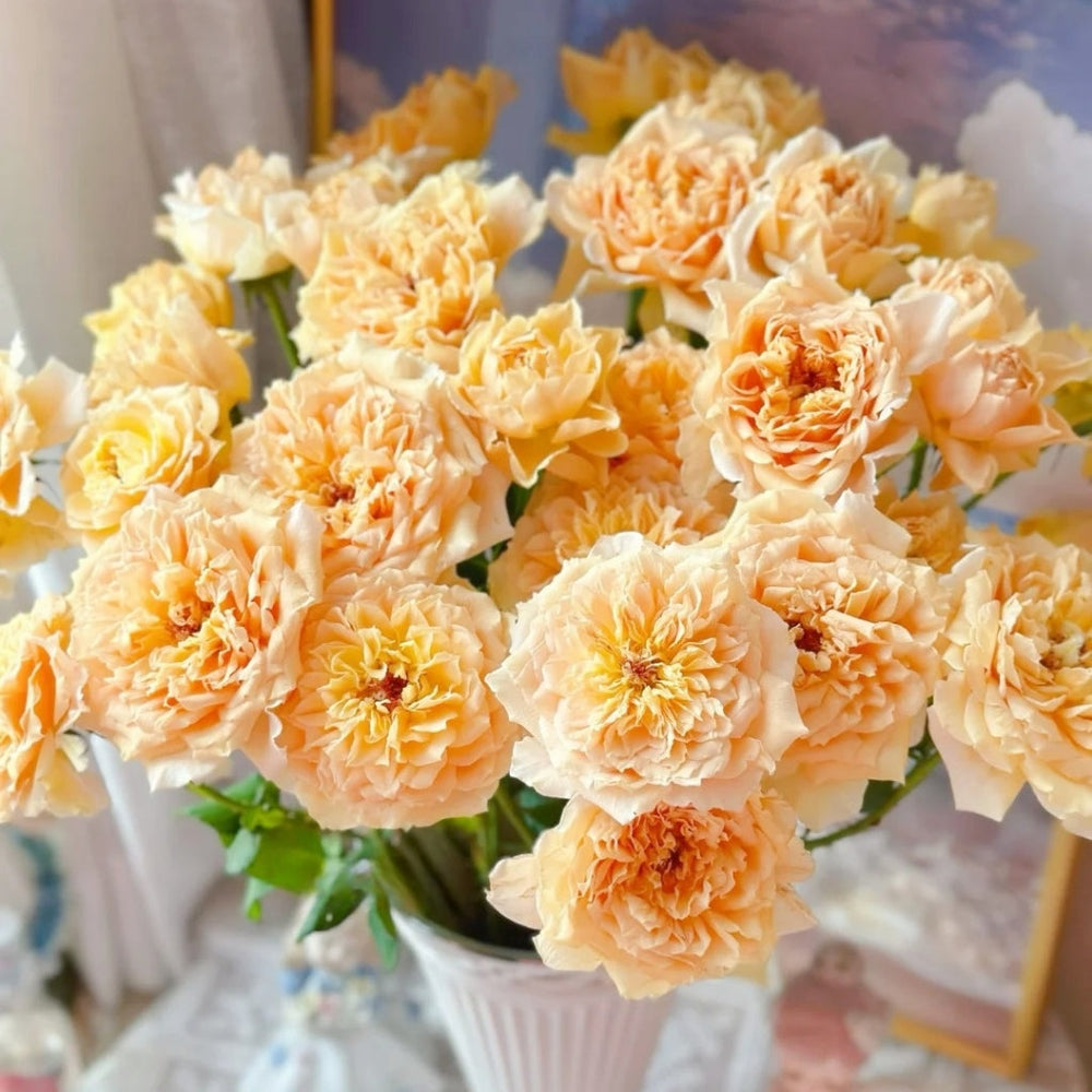 Impact Rose