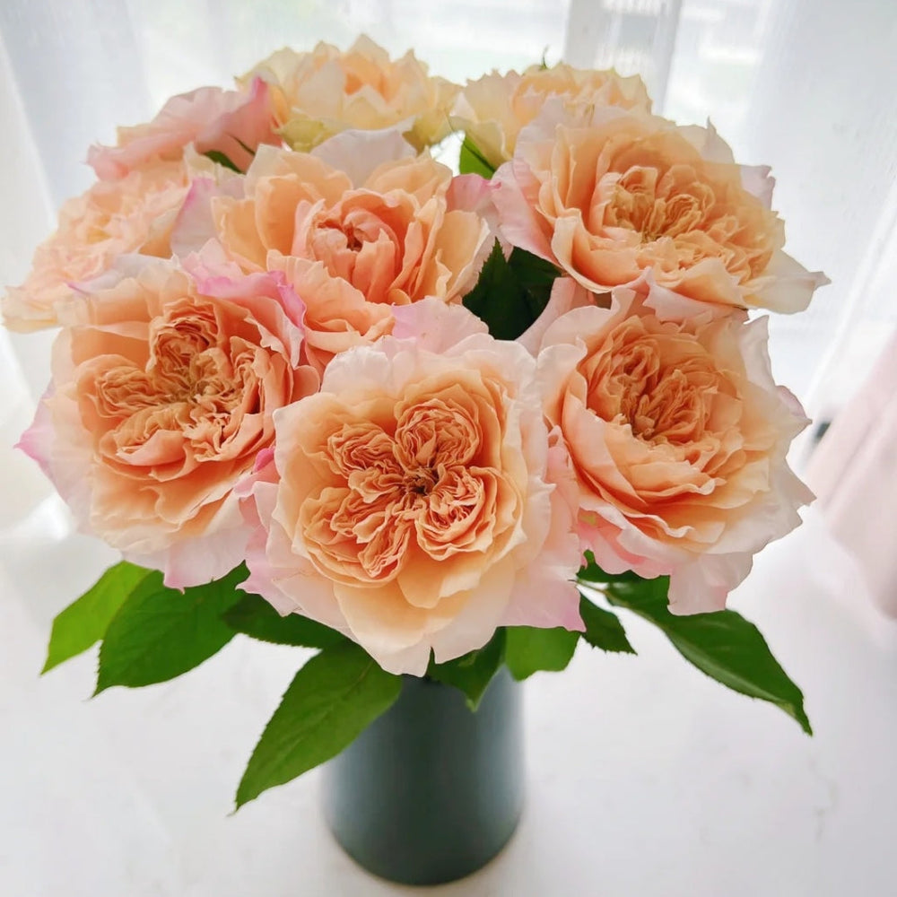 Issei Rose