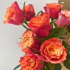 Jamaica Rose