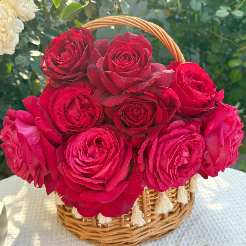Janice Kellogg Rose