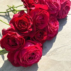 Janice Kellogg Rose