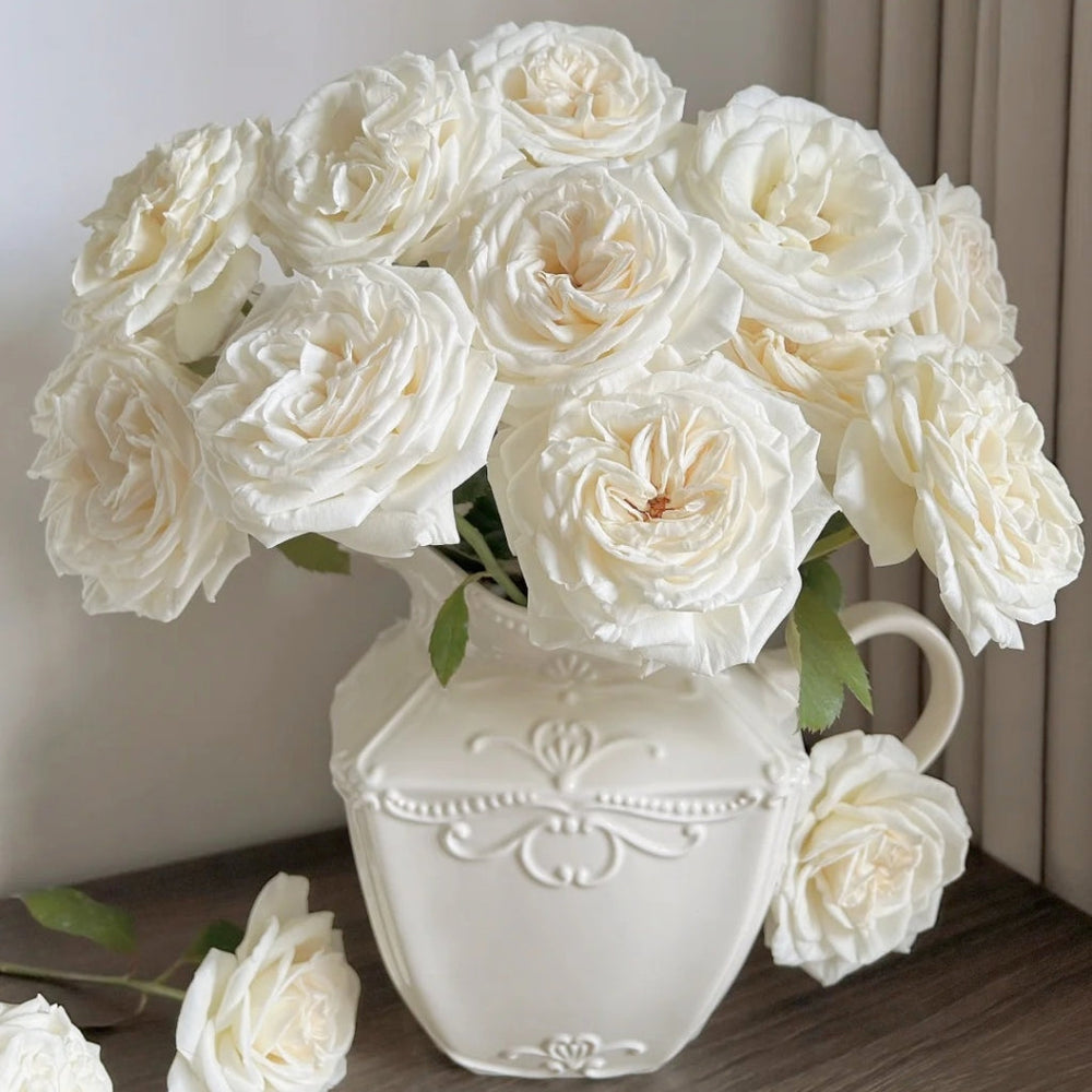 Jeanne Moreau Rose