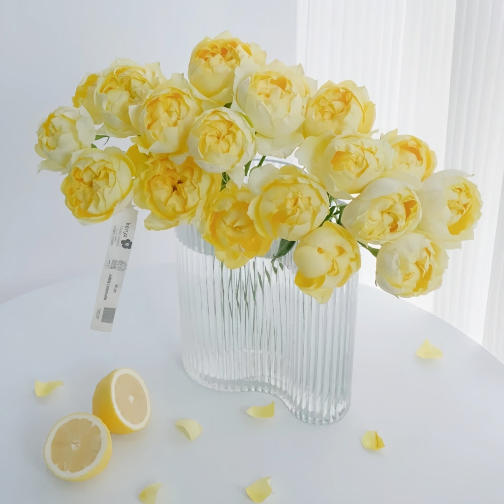 Julieta Limoncella Rose