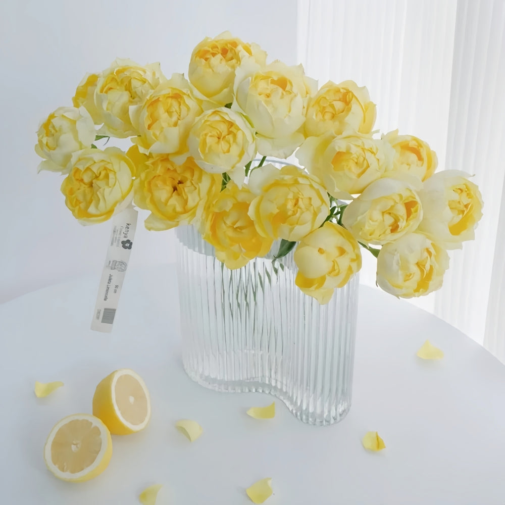 Julieta Limoncella Rose