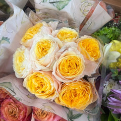 King's Cross Rose