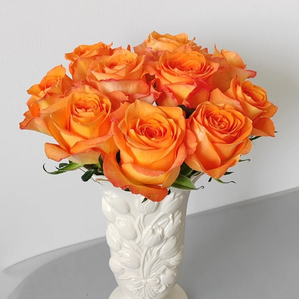 Kings Day Rose