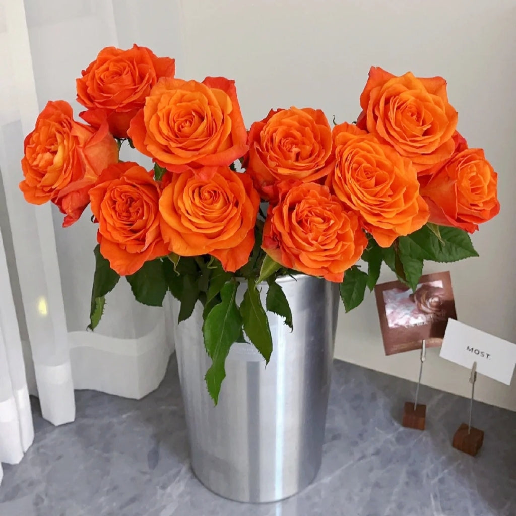 Kings Day Rose