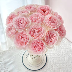 Kyouka  Rose