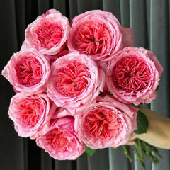 Laurent Cabrol Rose