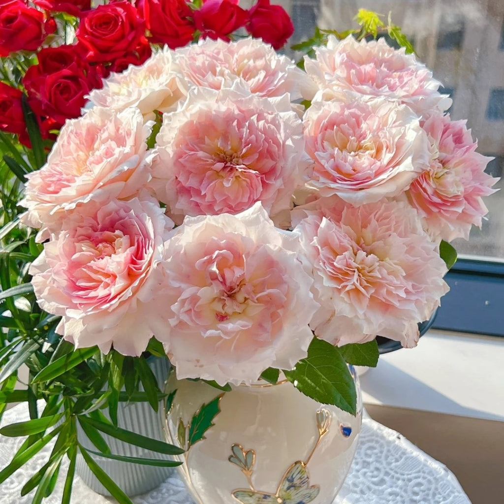 Le Rire Rose