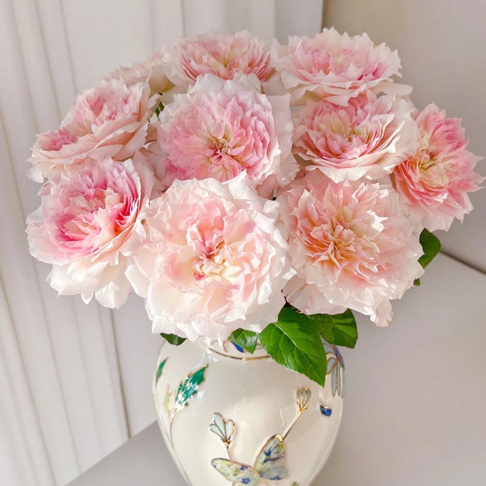 Le Rire Rose
