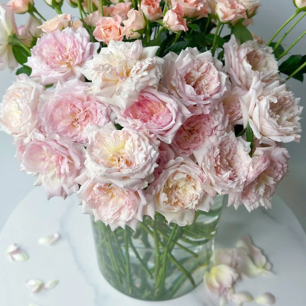 Le Rire Rose