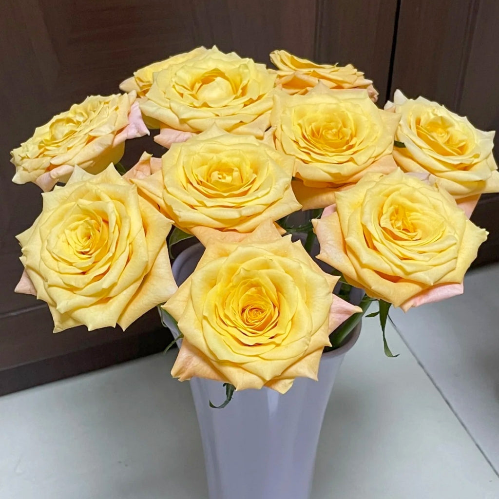 Lemon Milk Tea Rose