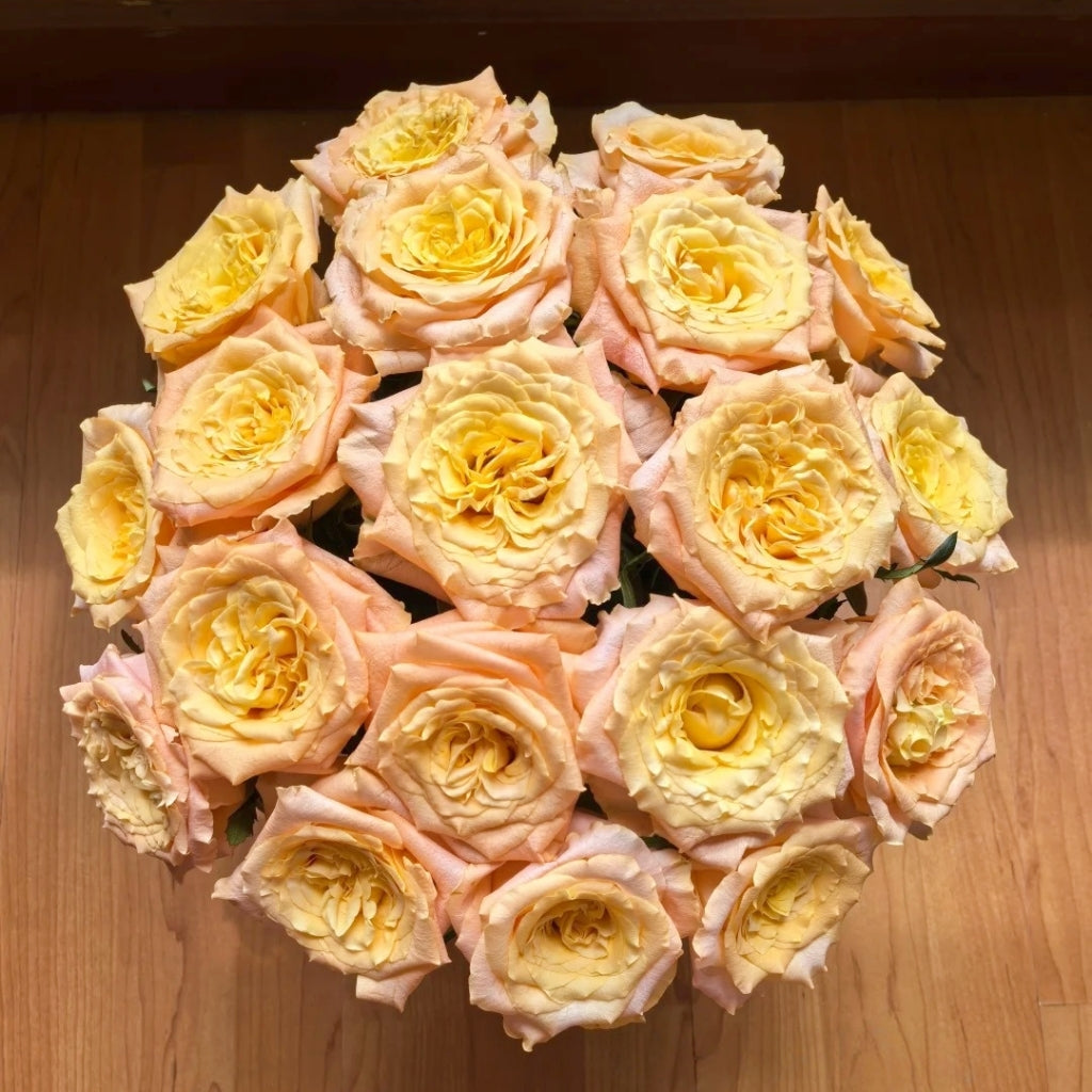 Lemon Milk Tea Rose