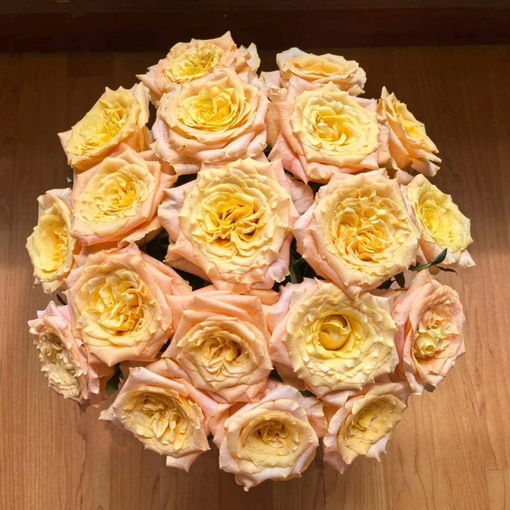 Lemon Milk Tea Rose