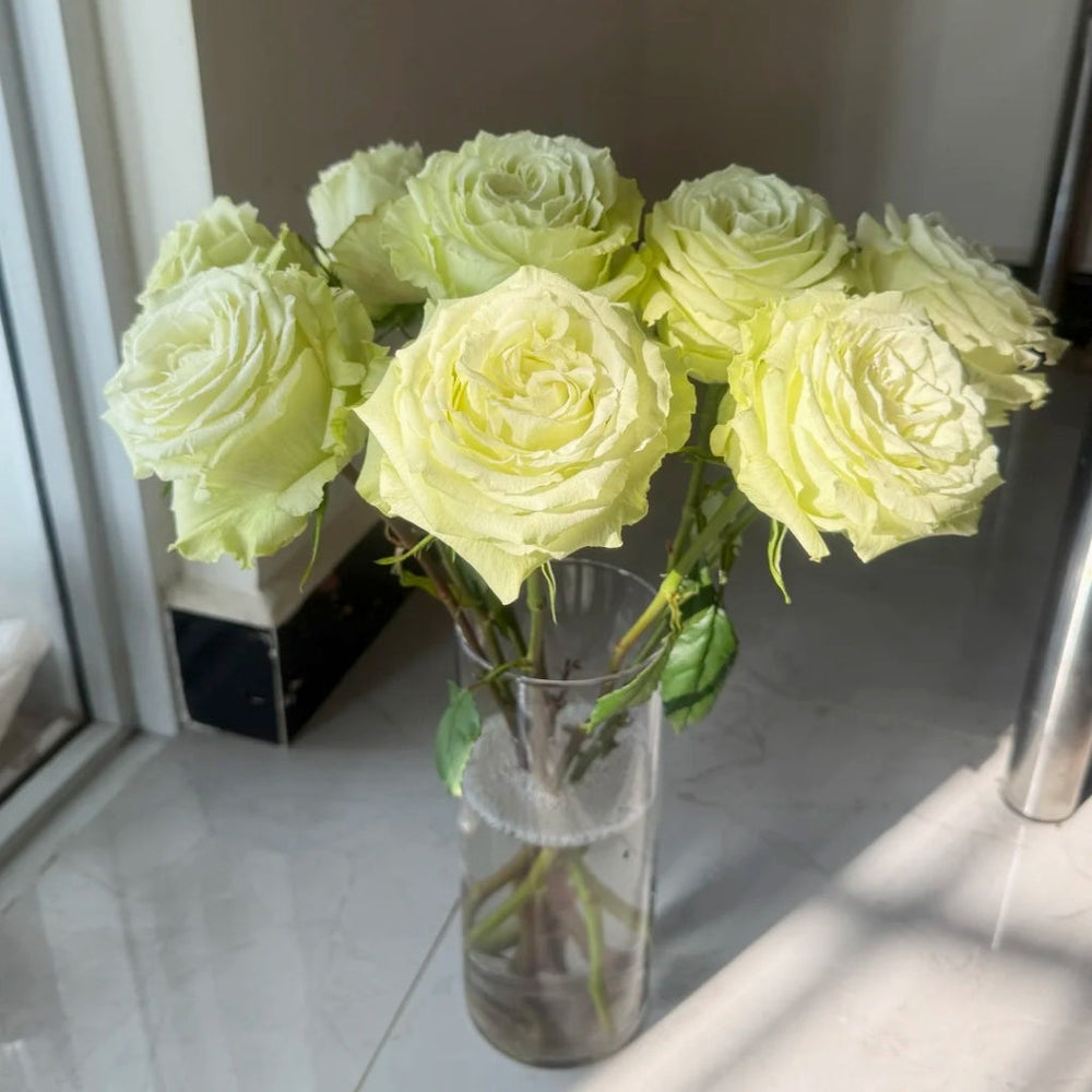 Lemonade Rose
