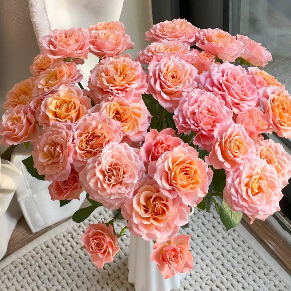 Light Shadow Rose