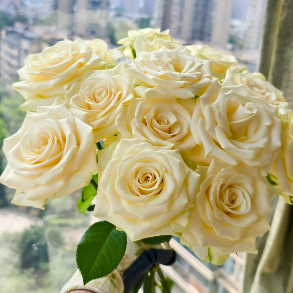 Little Butter Rose