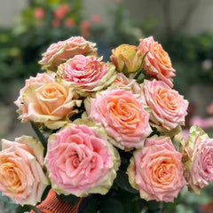 Love Pearl Rose