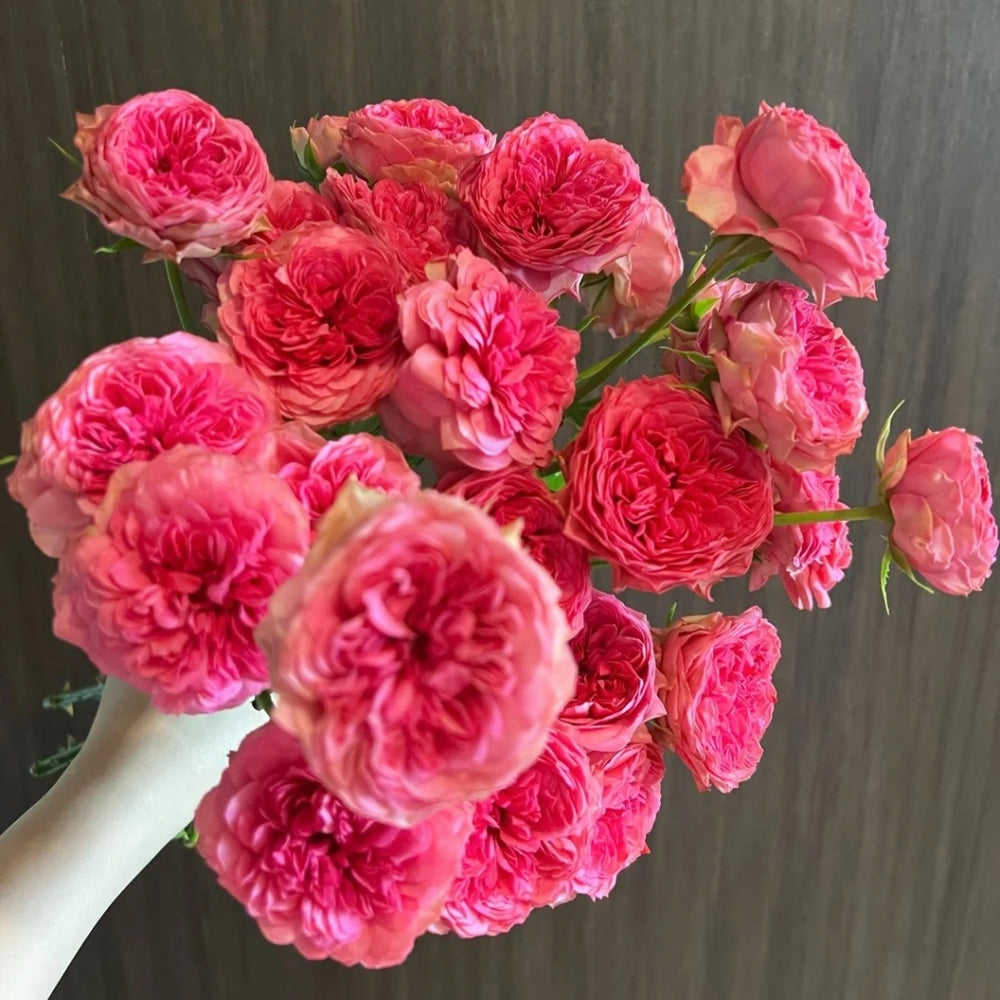 Macallan & Rosy Pink Rose