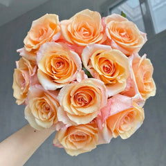 Magic City Rose