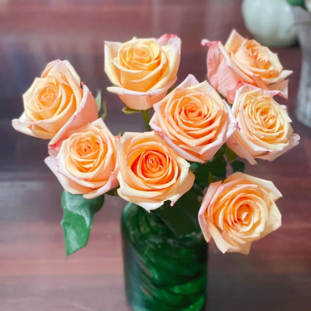 Magic City Rose