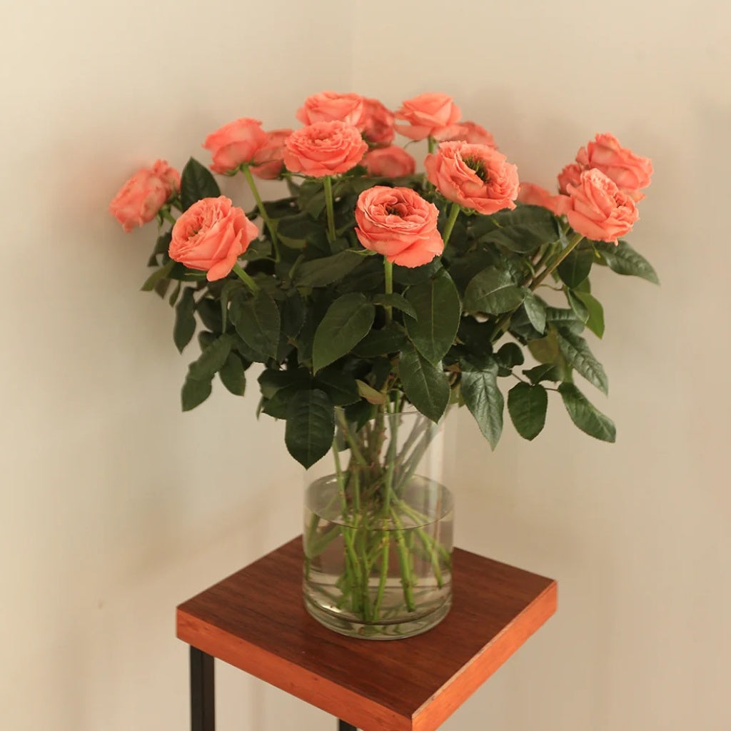 Mandarin X-Pression Rose