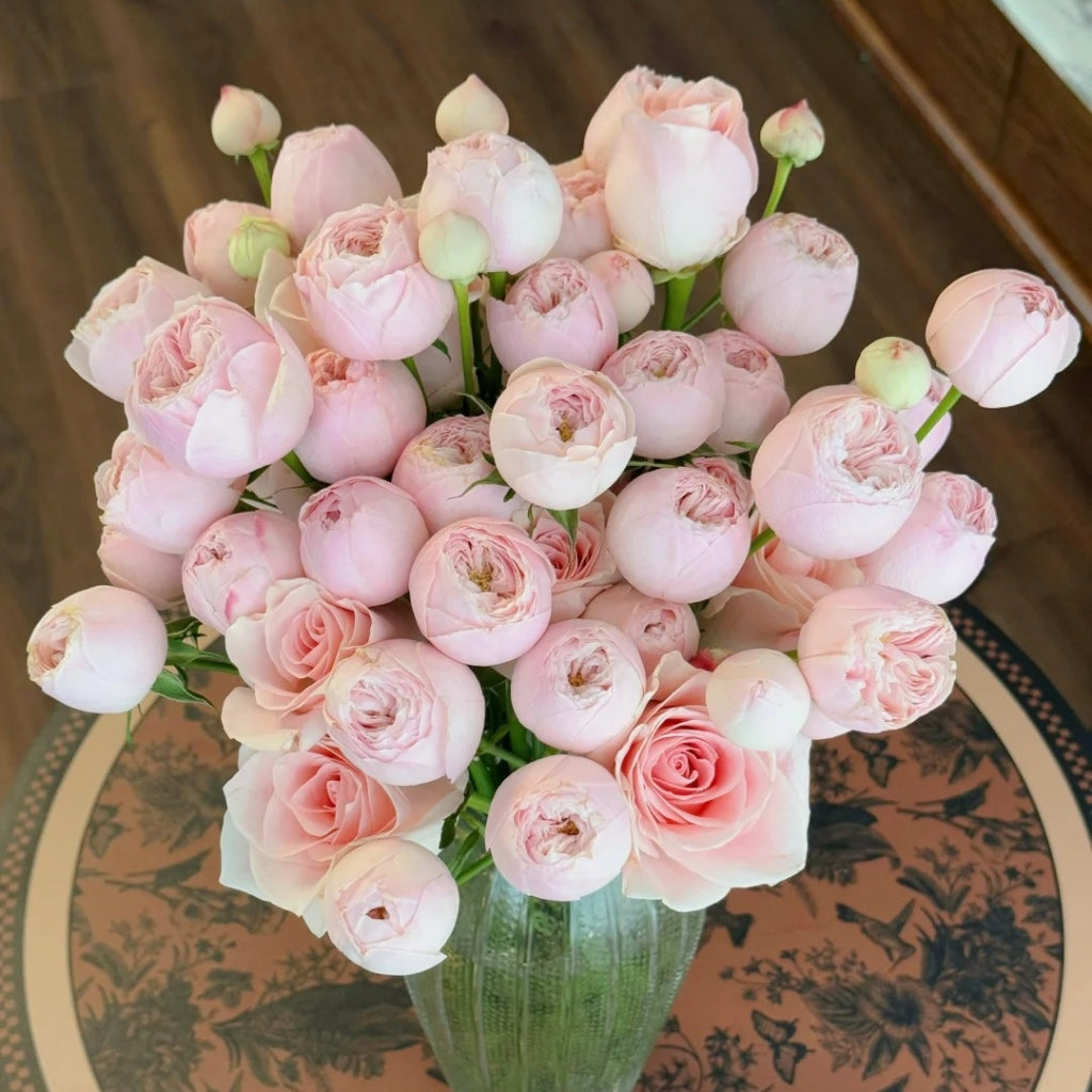 Mansfield Park Rose