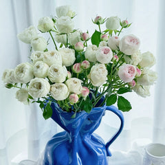 Mansfield White Park Rose