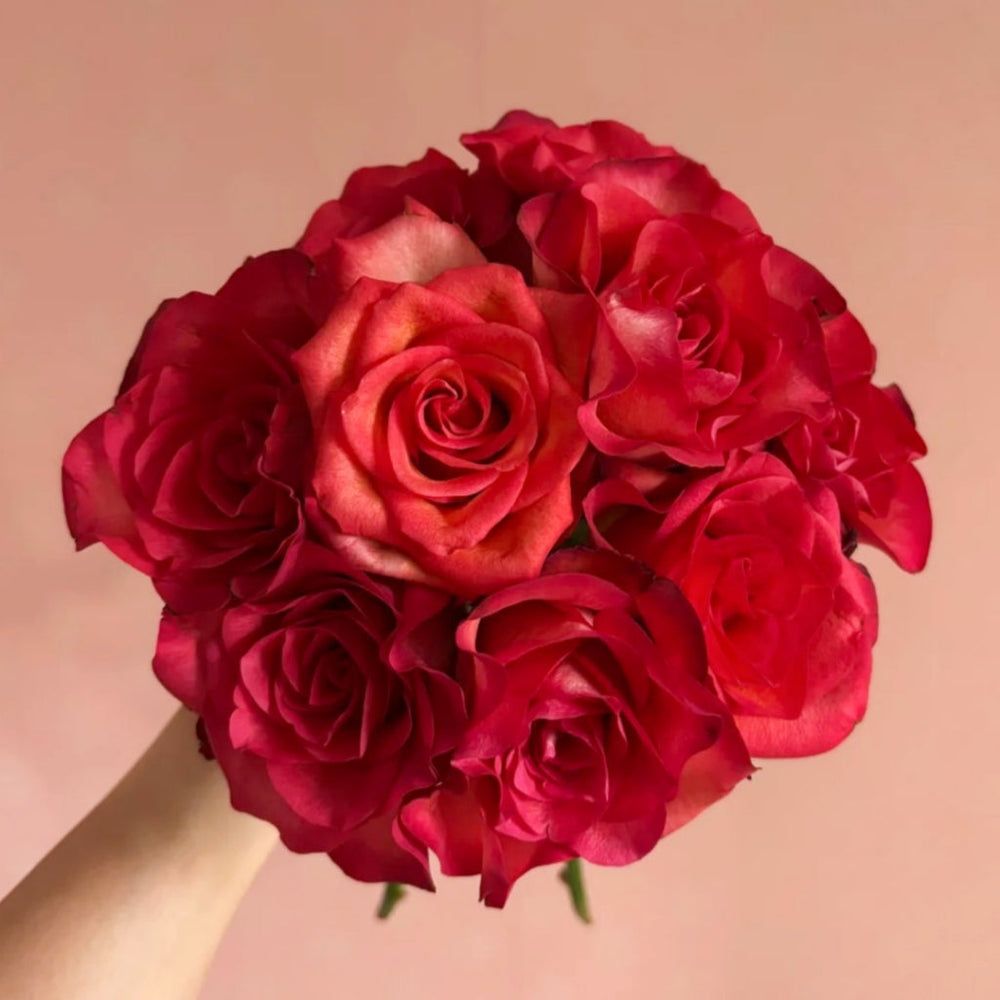 March Rose