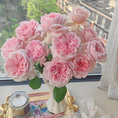 Mauritia Rose
