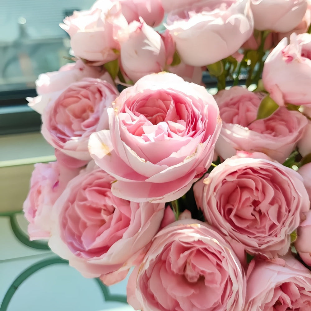 Mayra's Bridal Rose