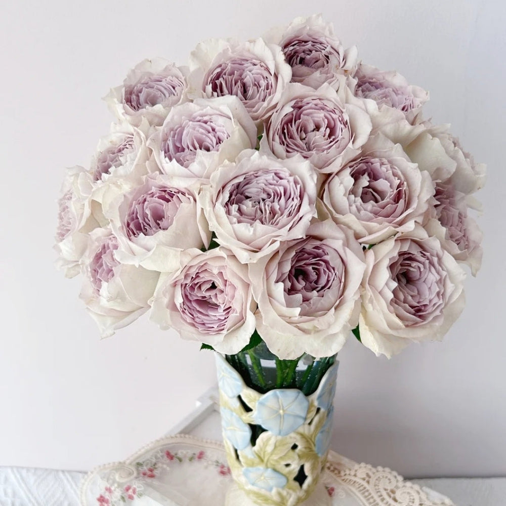 Milky Pearl Rose