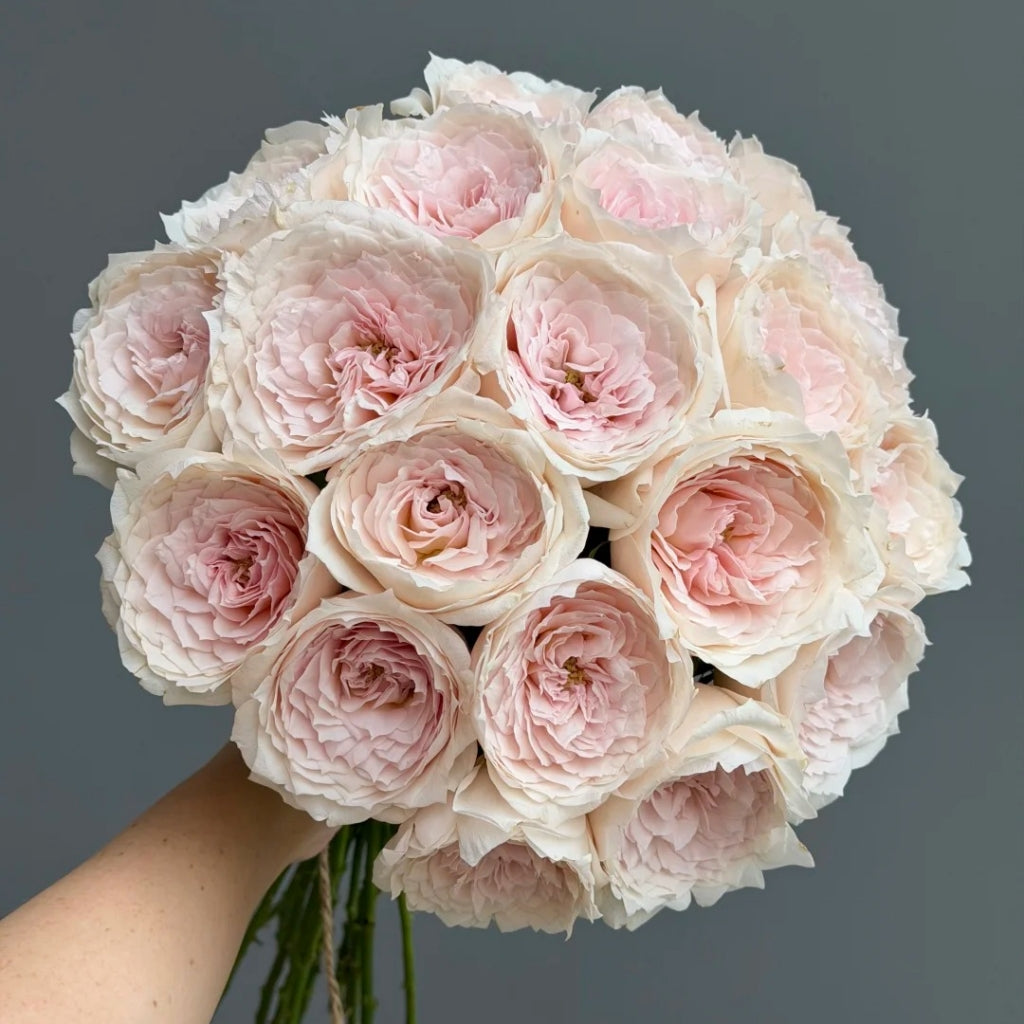 Miss Dior Rose