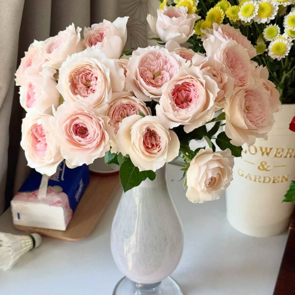 Miss Dior Rose