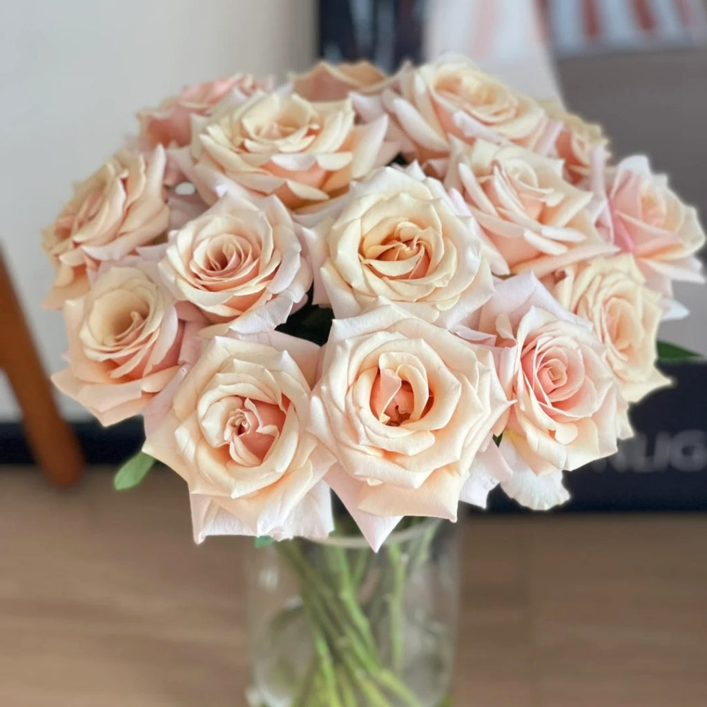 Mother of Pearl Rose