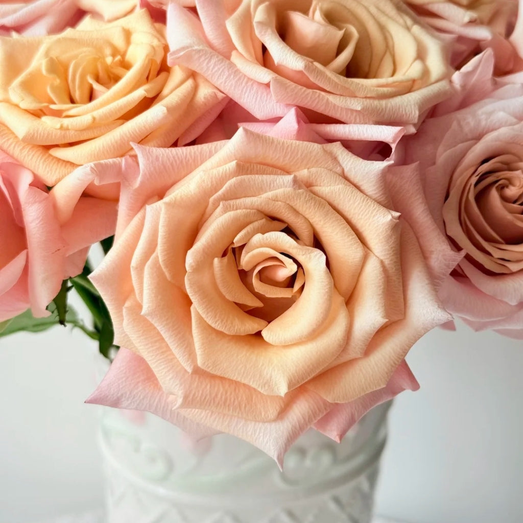 Mother of Pearl Rose