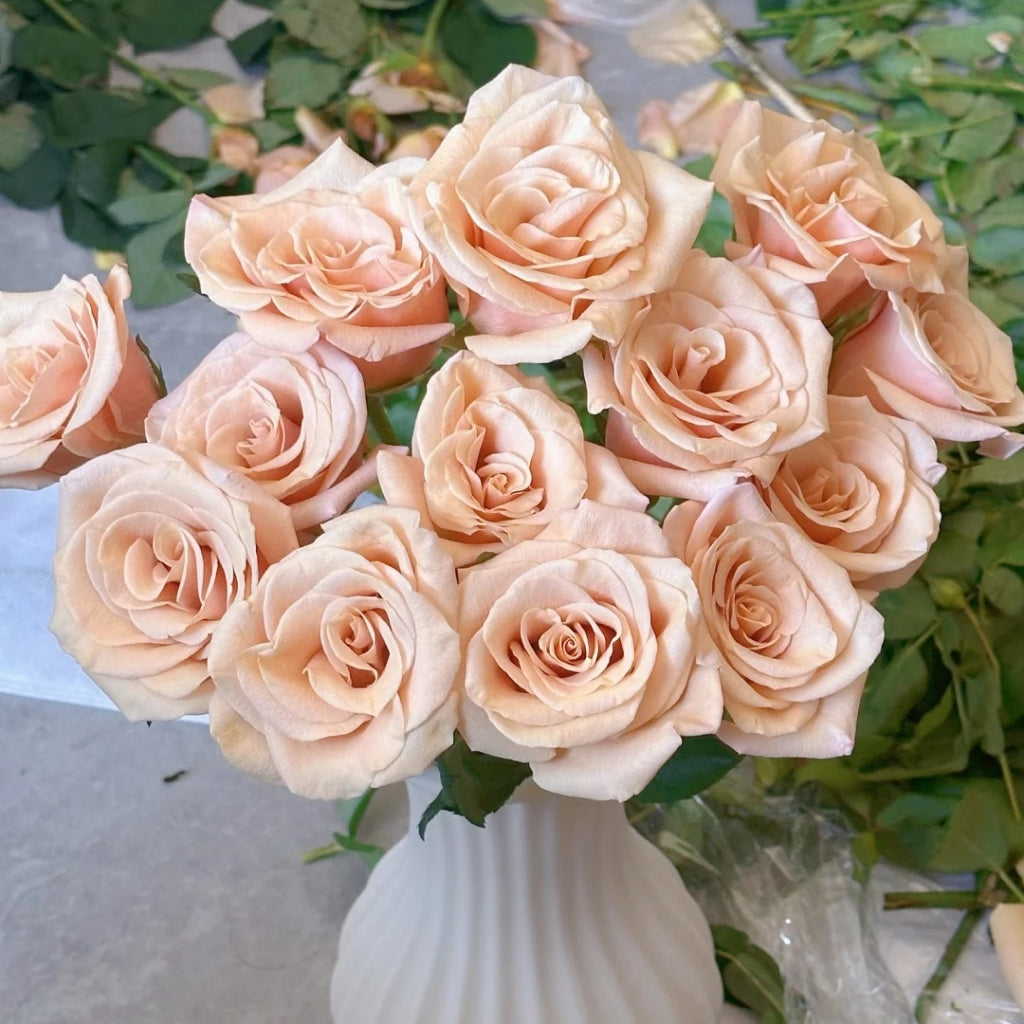 Mother of Pearl Rose