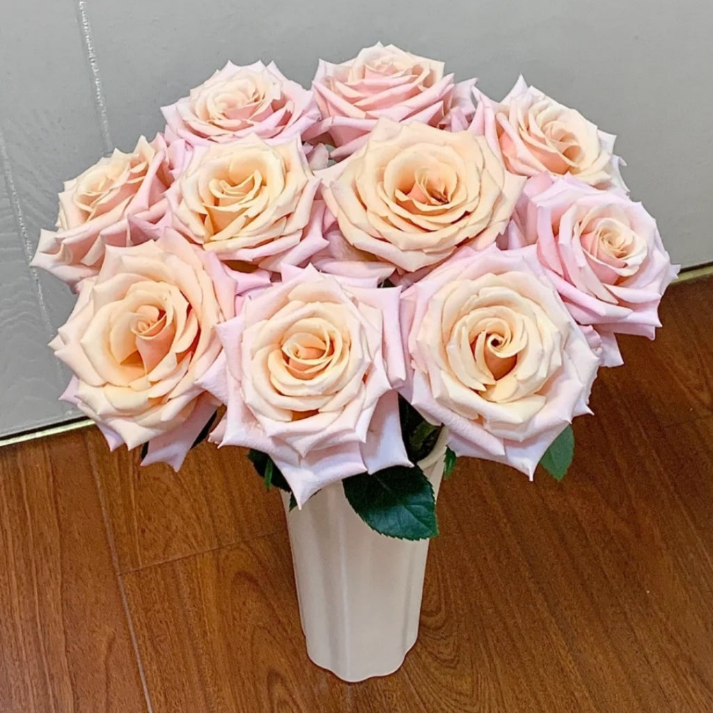 Mother of Pearl Rose