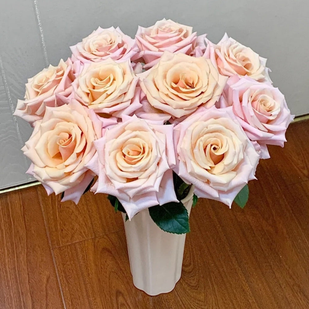 Mother of Pearl Rose