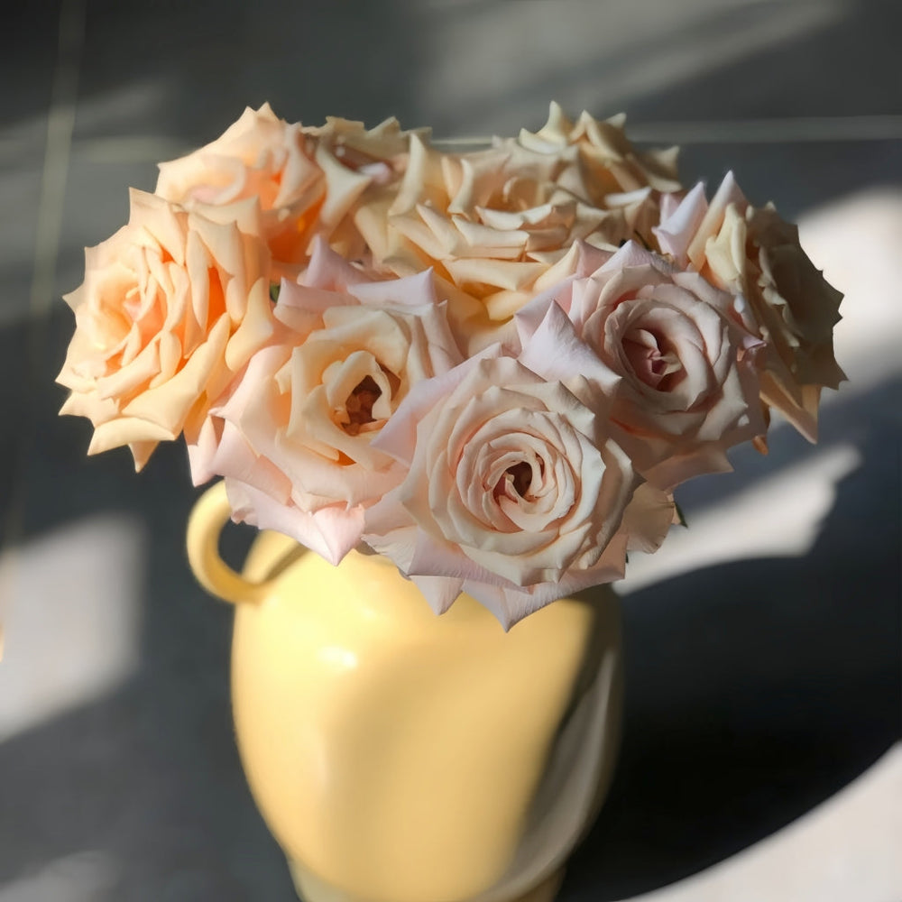Mother of Pearl Rose