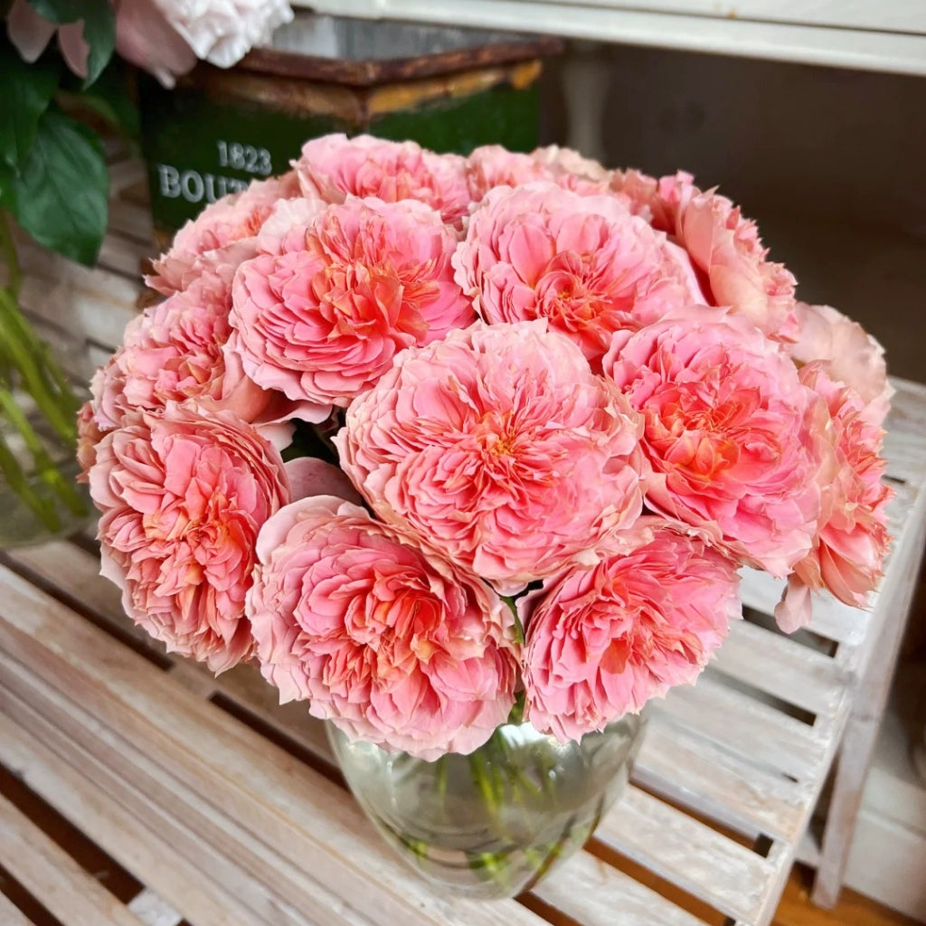 Moulin De La Galette Rose