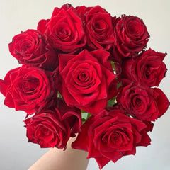 Myth Rose