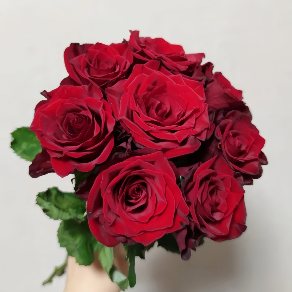 Myth Rose