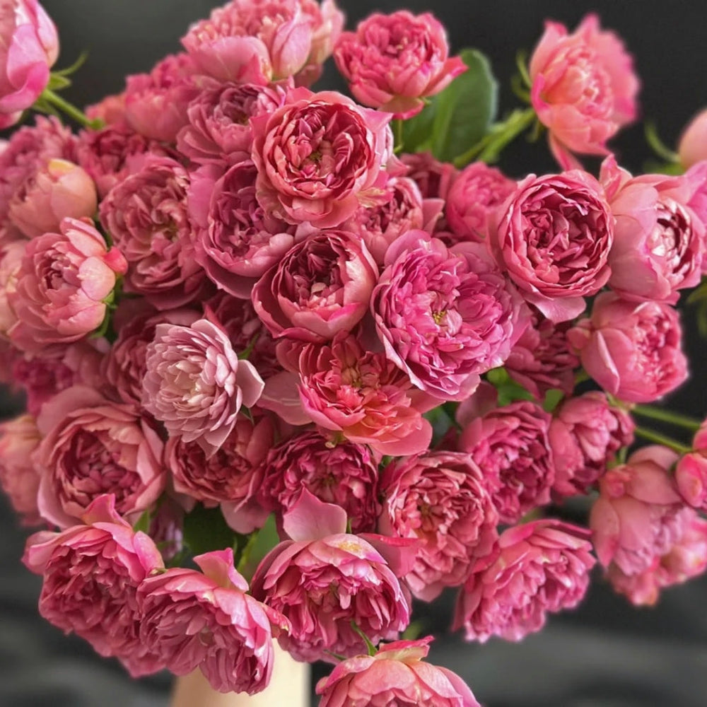 Nagi Rose